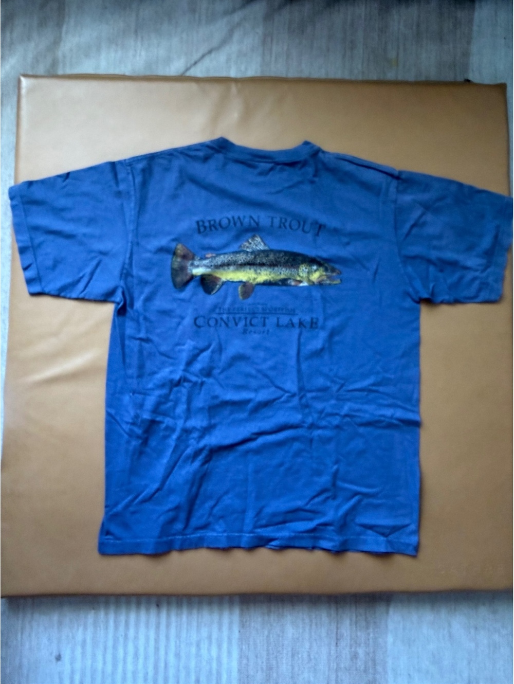 Convict Lake Resort Ouray Blue Brown Trout Graphic T-Shirt